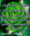 rosa.jpg