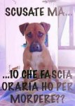 cane.jpg