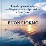 IMG-20170707-WA0006.jpg IMG-20170707-WA0006.jpg