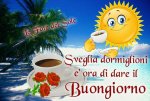 IMG-20170818-WA0001.jpg