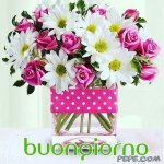 IMG-20170818-WA0005.jpg