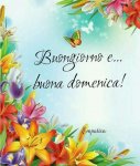 IMG-20170827-WA0004.jpg