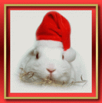 4.gif