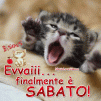 000022fa01ec31e2cbfbe9baa4809e30.gif