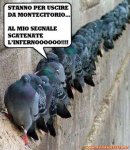 attentato-dei-piccioni[1].jpg