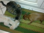 28032011056.jpg