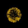 FUOKI D'ARTIFICIO.jpg