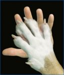 mano nella mano.jpg
