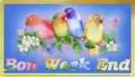 CAQA0J2GCA8NV1XKCA2FWAP7CAWN0C71CAIMVNO1CAUSOWUYCAZY0BR7CA80GNAECAT1D6TKCAR6U1Z0CAHXNERTCAVBDMPJ.jpg