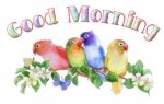 buongiorno.jpg buongiorno.jpg