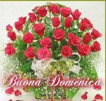 BUONA DOMENICA CON ROSE.jpg