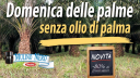 domenica.png
