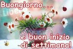 buona-settimana_019.jpg