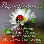 buongiorno 02 (1).jpg