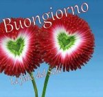 IMG-20180828-WA0004.jpg