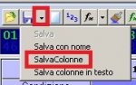 salva.jpg