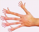 Dita mano.GIF
