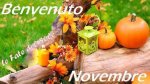Novembre.jpg