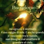 IMG-20181203-WA0001.jpg