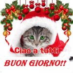 giorno 14.jpg