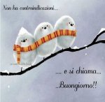 buongiorno.jpg