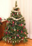 Albero_natale.jpg