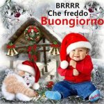 buongiorno.jpg