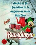 IMG-20190115-WA0003.jpg