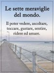 IMG-20190113-WA0001.jpg