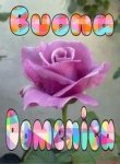 dc9c5ce18c2dcf367c3f8acec6e201d7.jpg