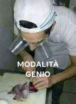 cipolla.jpg