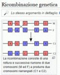 Cattura.GIF