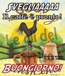 buongiorno.jpg