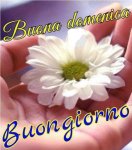 domenica 04.jpg