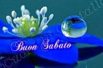 IMG-20190302-WA0000.jpg