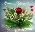 IMG-20190224-WA0003.jpg