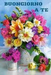 IMG-20190315-WA0001.jpg