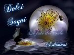notte.jpg