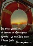 buongiorno 14.jpg