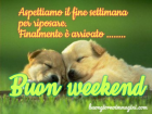 cagnolini_teneri_addormentati_buon_weekend_nuove_1539982241.png