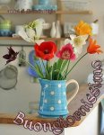 IMG-20190512-WA0001.jpg