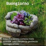 giorno (1).jpg
