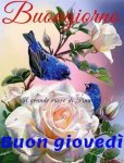 giovedÃ¬ 02.jpg