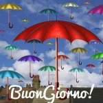 Buongiorno.jpg