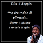 saggio.png