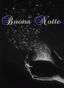 notte.gif