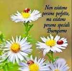 buongiorno 21.jpg