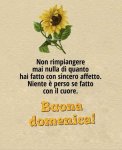 IMG-20190901-WA0000.jpg