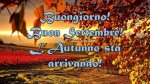 buongiorno-buon-settembre-1.jpg