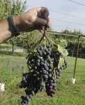 IMG_20190921_085330.jpg